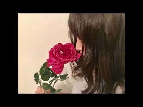 せめてお名前を　黒澤明とロスプリモス　Cover 健