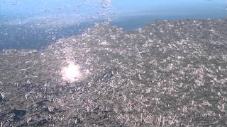 Mount St. Helens Documentary DVD Promo
