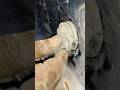 tail lamp socket easy fitting work good job #shortvideo 😎👏
