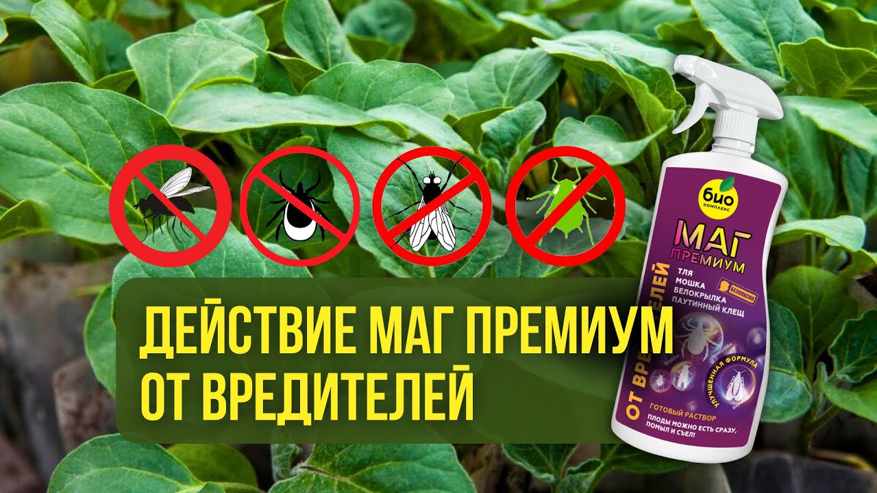 Действие МАГ ПРЕМИУМ от вредителей