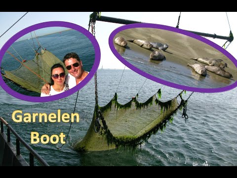 Video: Garnelenboote