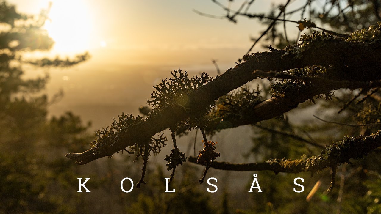 Spring Sunrise Hike to Kolsås Mountain | Stunning Views Over Bærum & Oslo, Norway