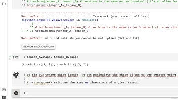 22  Matrix Multiplication Part 3 Dealing With Tensor Shape Errors