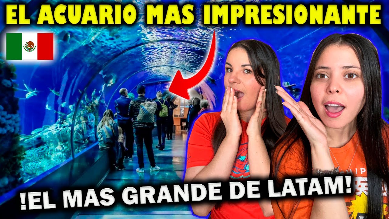 el ACUARIO más grande de LATINOAMERICA en CIUDAD de MEXICO - CUBANAS ...