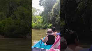 Nurun Mandi Ai Sejulung Wai