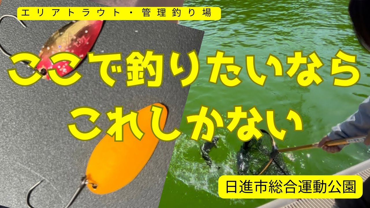 初心者は行くべき。日進市プールフィッシングの大放流大会【エリアトラウト・管理釣り場】