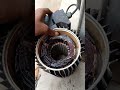 CRI 3 HP हाई प्रेशर मोटर की Coil Short हो गई 😱 | Burnt Winding Live #shorts