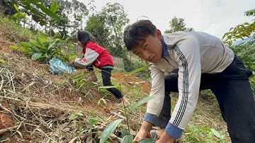 Trồng Cây Cùng 2 Anh Em Thánh Chì - Chuẩn Bị Dọn Nhà Đón Tết | Cói Lalin