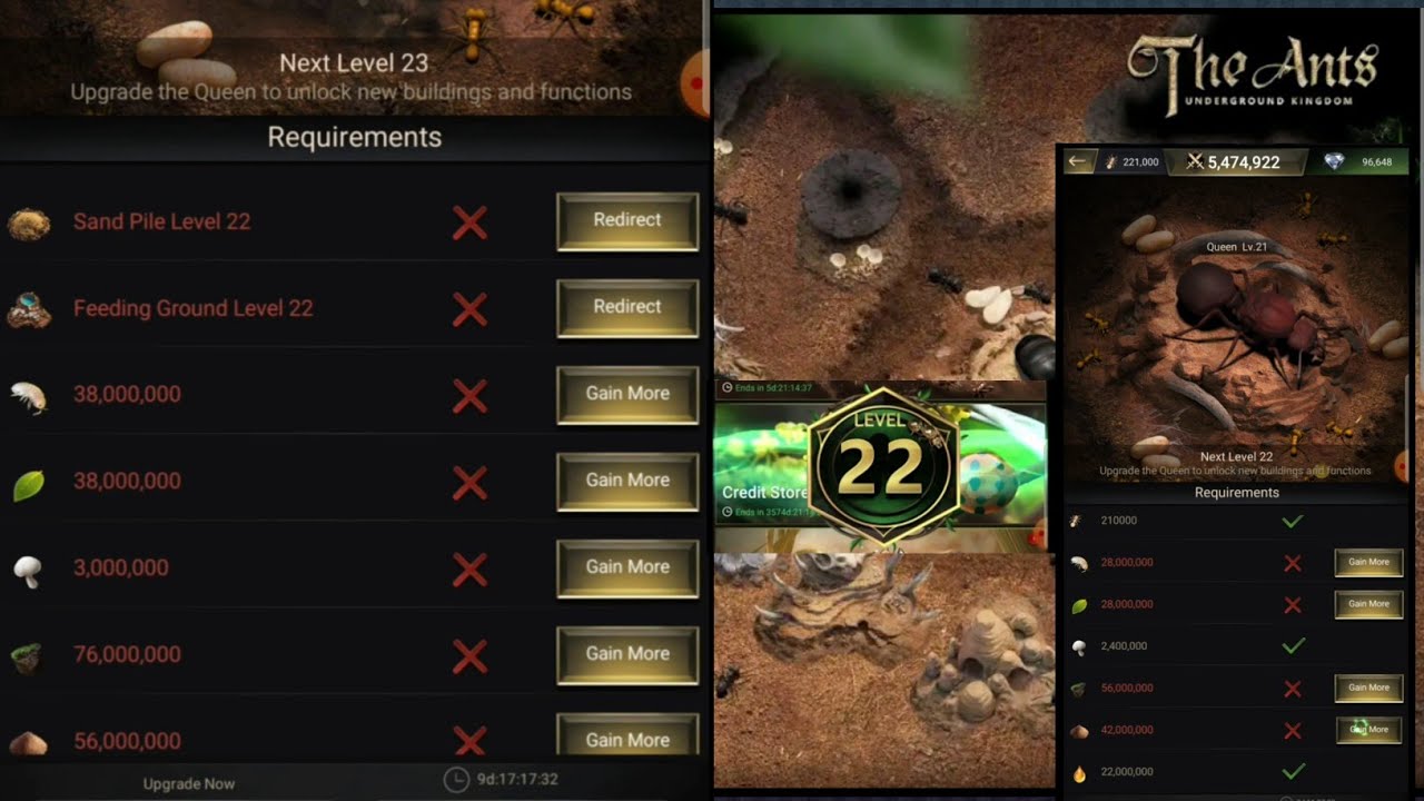 Upgrading Queen Lvl22 and Queen Lvl 23 Requirements The Ants