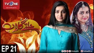 Jaltay Gulab | Episode 21 | TV One Classics | 30th November 2017