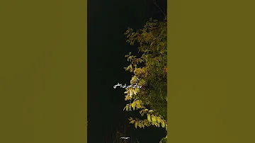 بكى قلبي الى ربي بدون موسيقى 