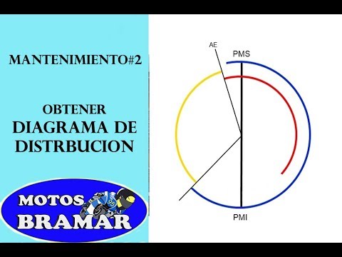 Video: Cómo Trazar Un Gráfico De Distribución