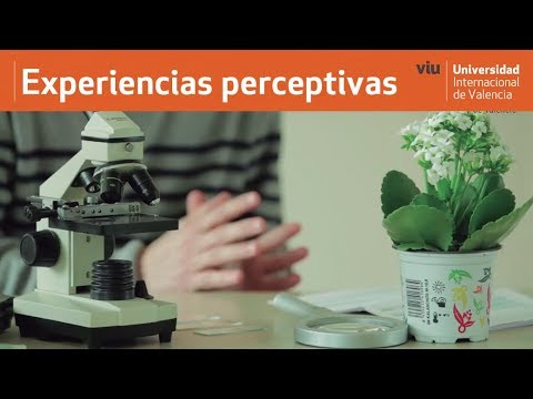 Video: Cómo Empezar A Enseñar Ciencias