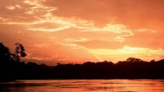 Sapiens - Cloves Story Inkfish Remix