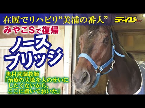 【ノースブリッジ】 “美浦の番人”はなぜ在厩リハビリを続けたのか？ 「１ミリも大人しくなっていない」やんちゃな素顔 マイクに鼻息吹きかける