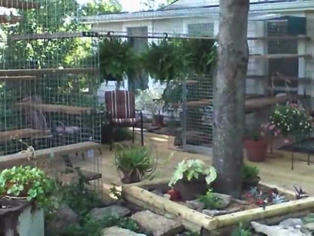 outdoor cat play yards