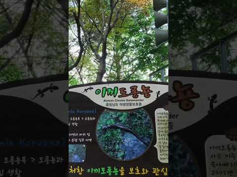 <strong>대둔산</strong> 수락계곡 당일치기