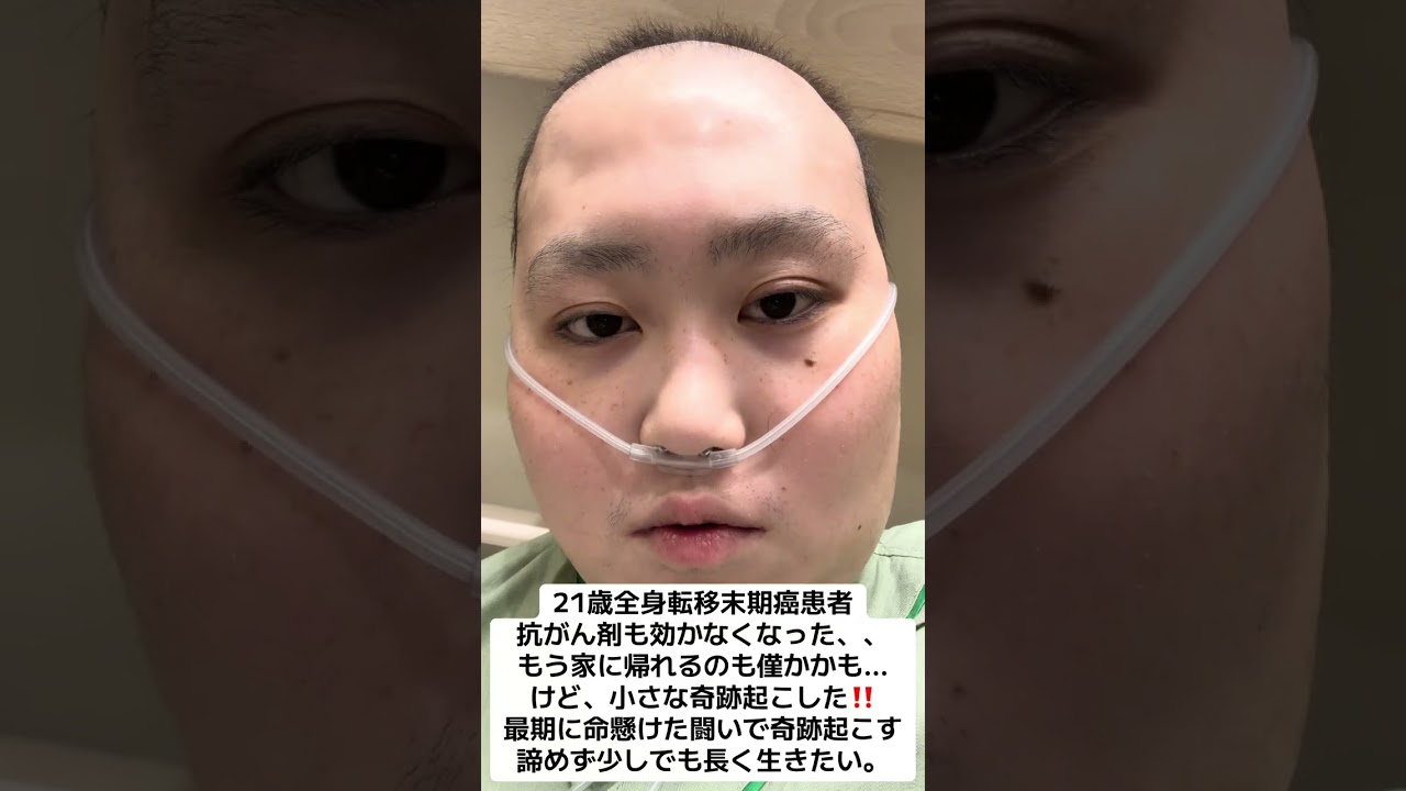 肺転移末期癌ステージⅣ抗がん剤治療が全く効いて無かった…治らず、生存率１割未満と宣告。それでも小さな奇跡を起こしました！#骨肉腫#05#おすすめ #ありがとう#いいね