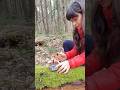 3 STEPS TO START A FIRE (Survival Sklills) Welcome to Nyren Outdoors 🌿 Where are you whatching from?