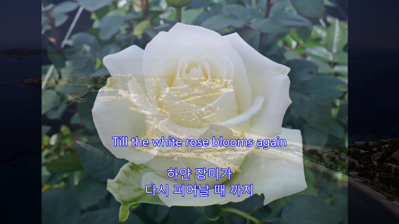 Nana Mouskouri The White Rose Of Athens