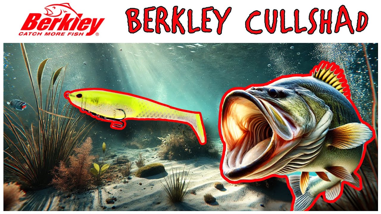 BEST BIG SWIMBAIT FOR BASS!!