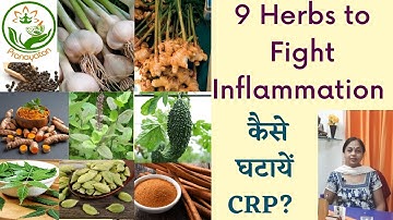 9 Herbs that Fight with Inflammation and Decrease CRP | घर पर घटायें CRP | Pranayatan Ayurveda