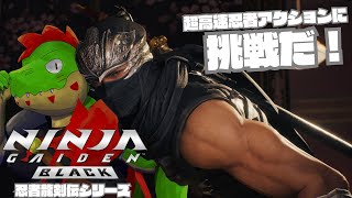 俺、忍者になるぞ！！高速アクションに挑戦だ！【川鰐グラムのニンジャガイデン2ブラック】