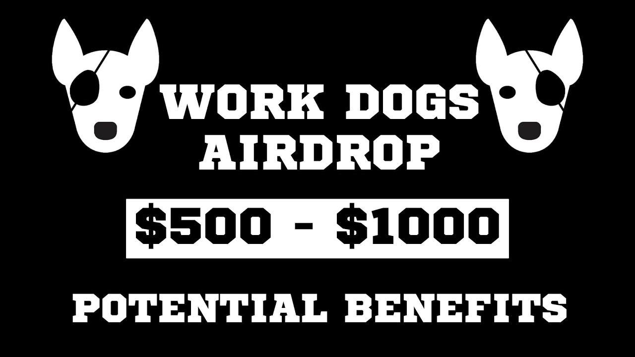 Work dogs airdrop youtube