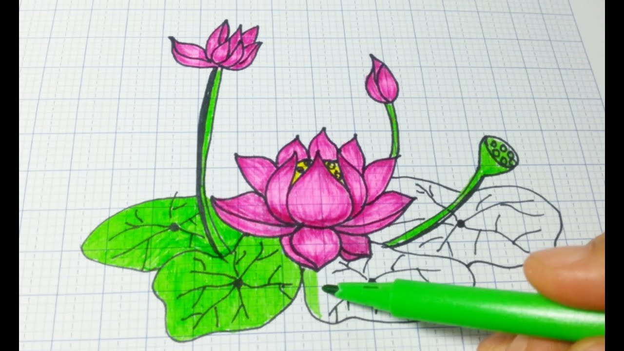 Vẽ Hoa Sen Đơn Giãn/How To Draw Lotus Step By Step/Draw Lotus Easy - Youtube