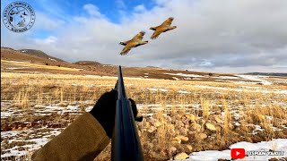 Kekli̇kleri̇n Üzeri̇ne Basacaktim