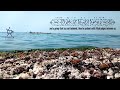 لن تندم على سماع هذا الصوت ولكن إسم القارئ غير معروف 