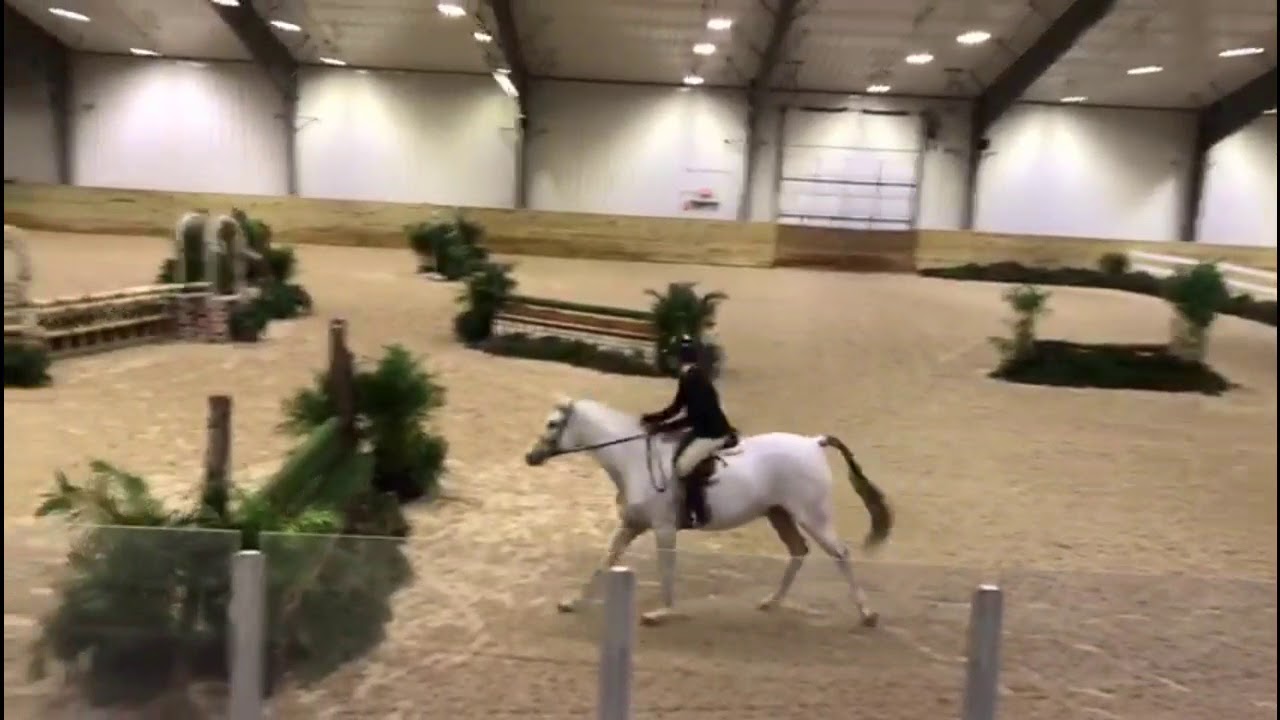 Lilli Power Wingman and Lilli Power 3'6 AO round 1 - YouTube