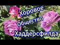 Праздничный Серпантин !