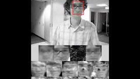 Incremental Visual Tracking