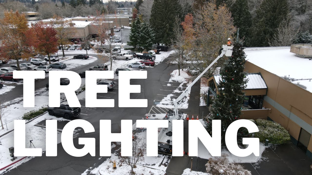 City of Mill Creek: Holiday Tree Lighting