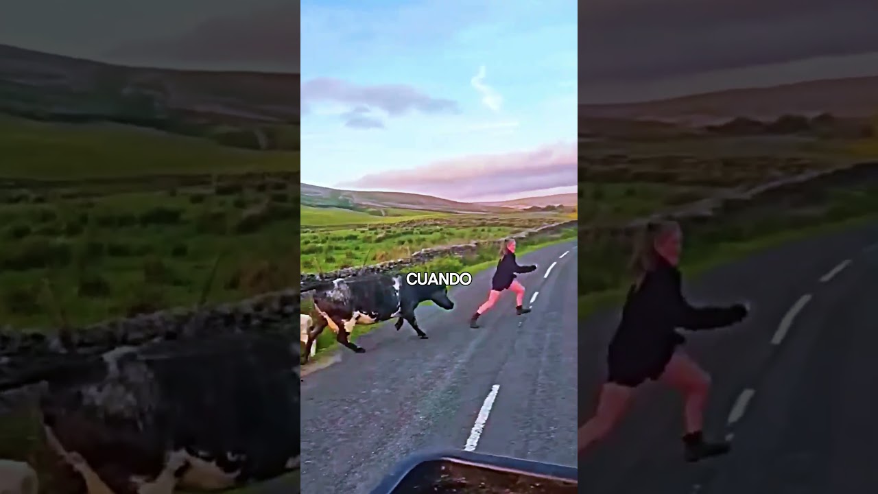 🐮🥹 ¡Ella Solo Quería Ayudar… Pero la Reacción de la Vaca Conmovió a Todos! ❤️😱