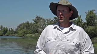 Flowering Rush: Controlling an Invasive Species Through Innovation and Partnership with Wall... screenshot 5