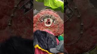 Kenapa Singo Barong Bajang Ngamukjaranan seni budaya reog rogosamboyo bajang barongan fyp