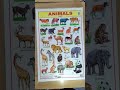 Animals chart #education #rahnuma study point