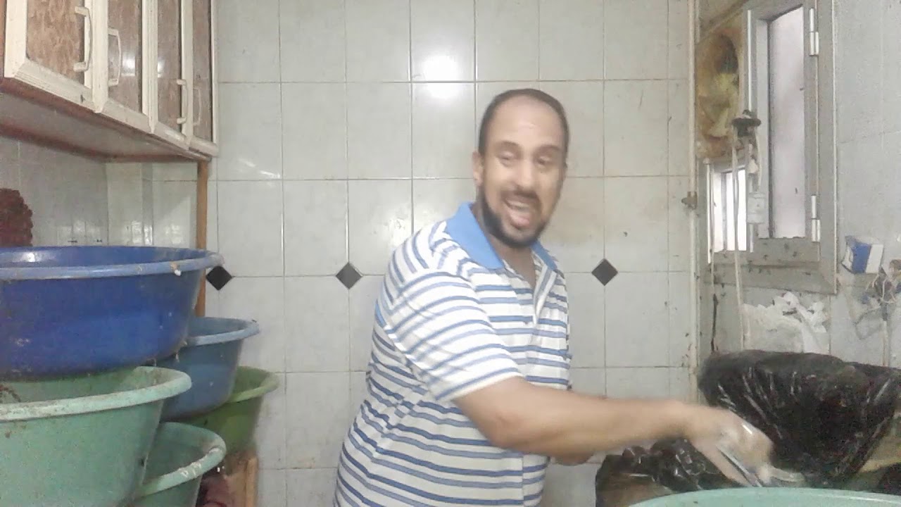 افضل طريقه تحصل فيها على إنتاج من بيض الذباب01203103910مشروع الذباب لزيادة إنتاج مزرعتك