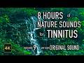 8 Hours Nature Sounds for Tinnitus — EP 9 | [Original] | 4K HDR10 - E09-ORIG