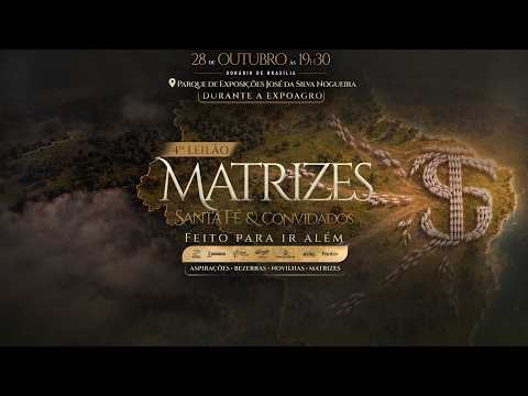 LOTE 28