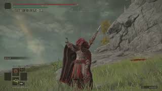 Elden Ring Agent Of Chaos