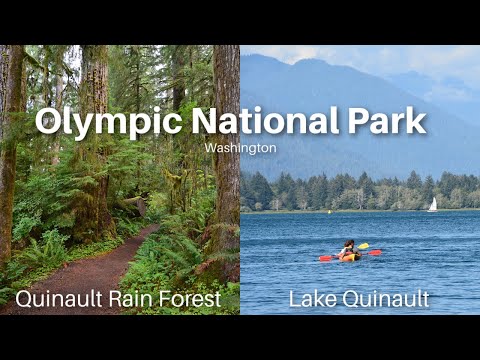 Video: Unwind ntawm Lake Quinault Lodge ntawm Washington lub Olympic Peninsula