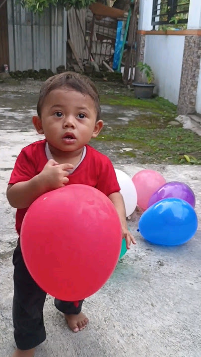 semua balon di tiup kucing