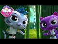 Secret Ninja Cat Dojo 6 FULL EPISODES True And The Rainbow Kingdom