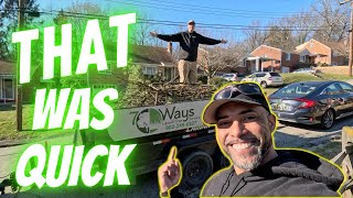 FIRST Tree Removals EVER | How much did we charge?