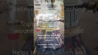 German Vs. Roman Chamomile Hydrosol For Pets Natural Calming Healing Care