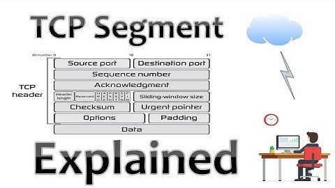 Understanding TCP Segment: Basics Structure, and Function