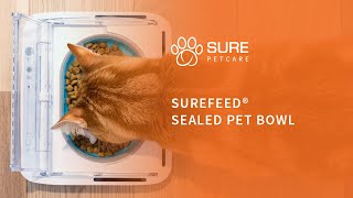 The SureFeed® Sealed Pet Bowl